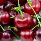 Visinele, fructele revitalizante ale verii