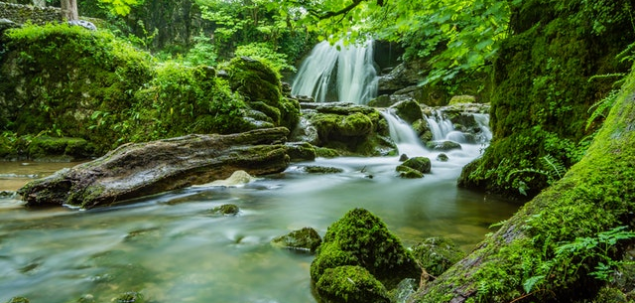 Cascada Urlatoarea este cea mai inalta din Romania.