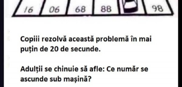 Cateii sunt cunoscuti ca fiind foarte inteligenti. Care este rezolvarea acestei probleme?