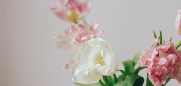 Ce fel de cadou te face sa te simti special?