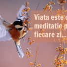 Timpul nu se arhiveaza!