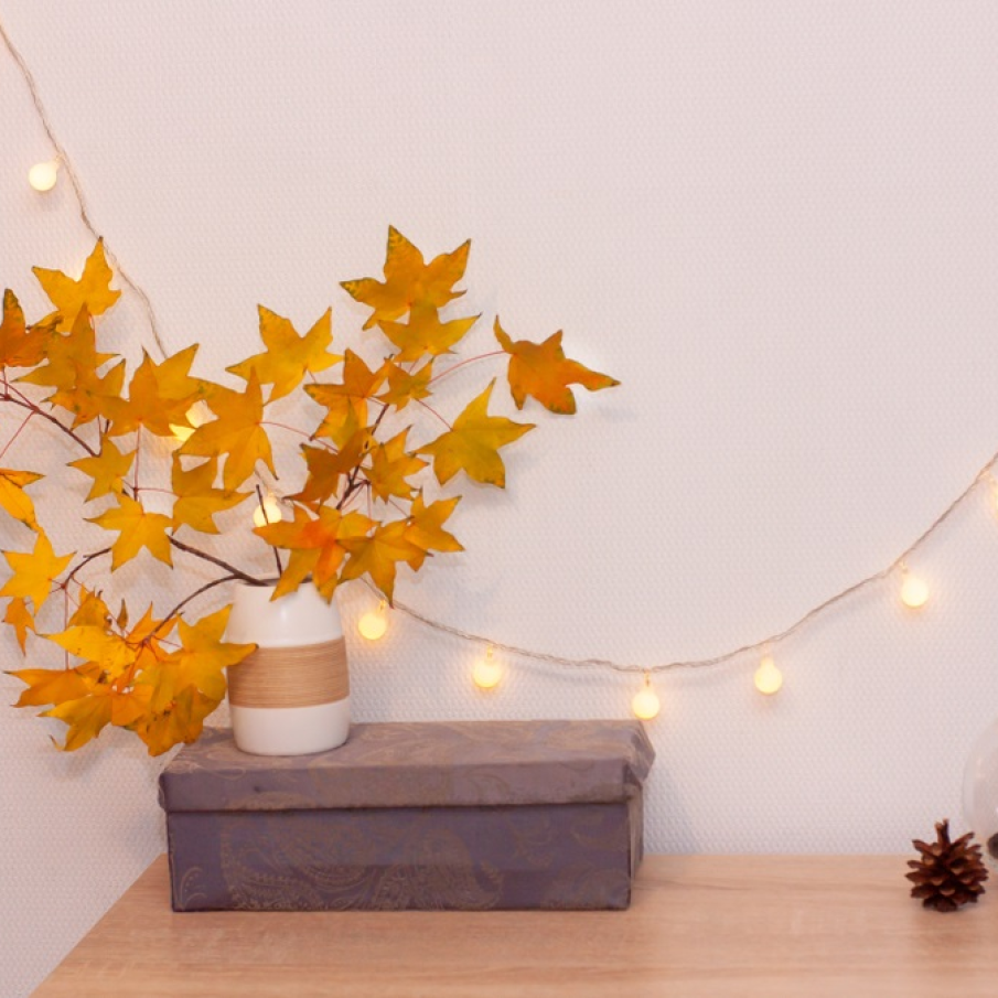 Frunzele în vază  sunt perfecte pentru un decor minimalist de interior 