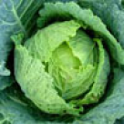 Varza, un medicament al  naturii