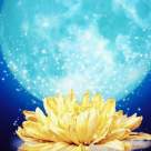 4 Noiembrie 2017 - Luna Plina in Taur. Vine o perioada magica, profitati de energia iubirii si a abundentei!