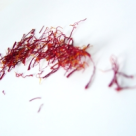 Sofranul, cel mai pretios condiment din lume