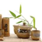 7 Plante medicinale care stimuleaza fertilitatea