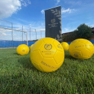 Alexandrion Group, parte din Nawaf Salameh Family Office, devine partener oficial al Federației Române de Fotbal