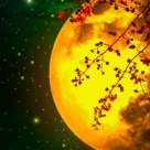 15 August - Luna plina in Varsator este o luna a Karmei colective: Avem de invatat lectia Empatiei si a Iubirii!