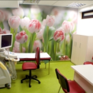 Un an de sanatate si preventie a cancerului la san