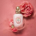 LA PARFUMERIE SABON - Parfumuri fine ce evocă armonia naturii