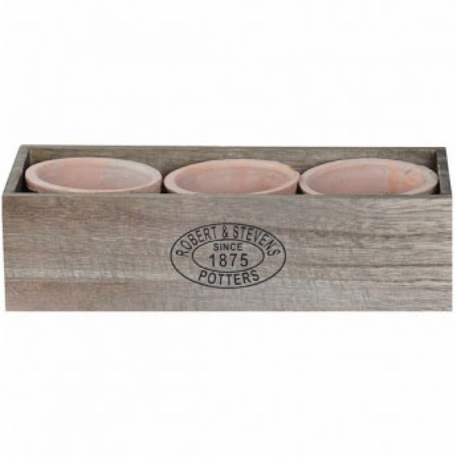 Set de 2 ghivece in jardiniera 