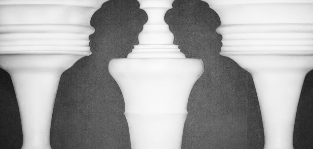 Ce vezi in imaginea de mai jos?