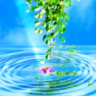 Am nevoie de sansa! Am nevoie de viata!