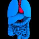 VIDEO ULUITOR: Ce se intampla in corpul tau cand mananci mancare procesata 