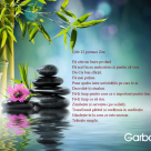 Simplu, pentru o viata mai buna: Cele 12 porunci ZEN