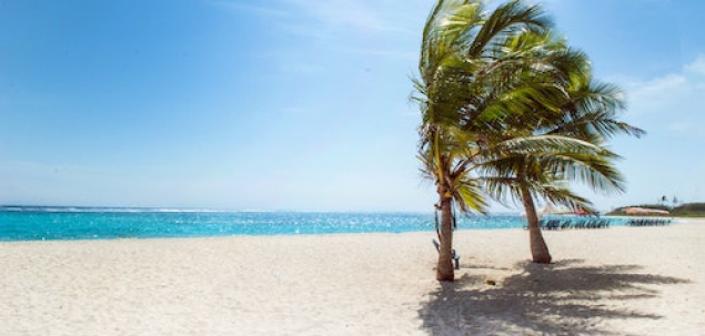 Cu cine ai alege sa petreci timp pe o insula exotica?