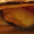 Rulouri cu vinete si bacon