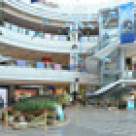 Expozitie de monstri marini la Plaza Romania