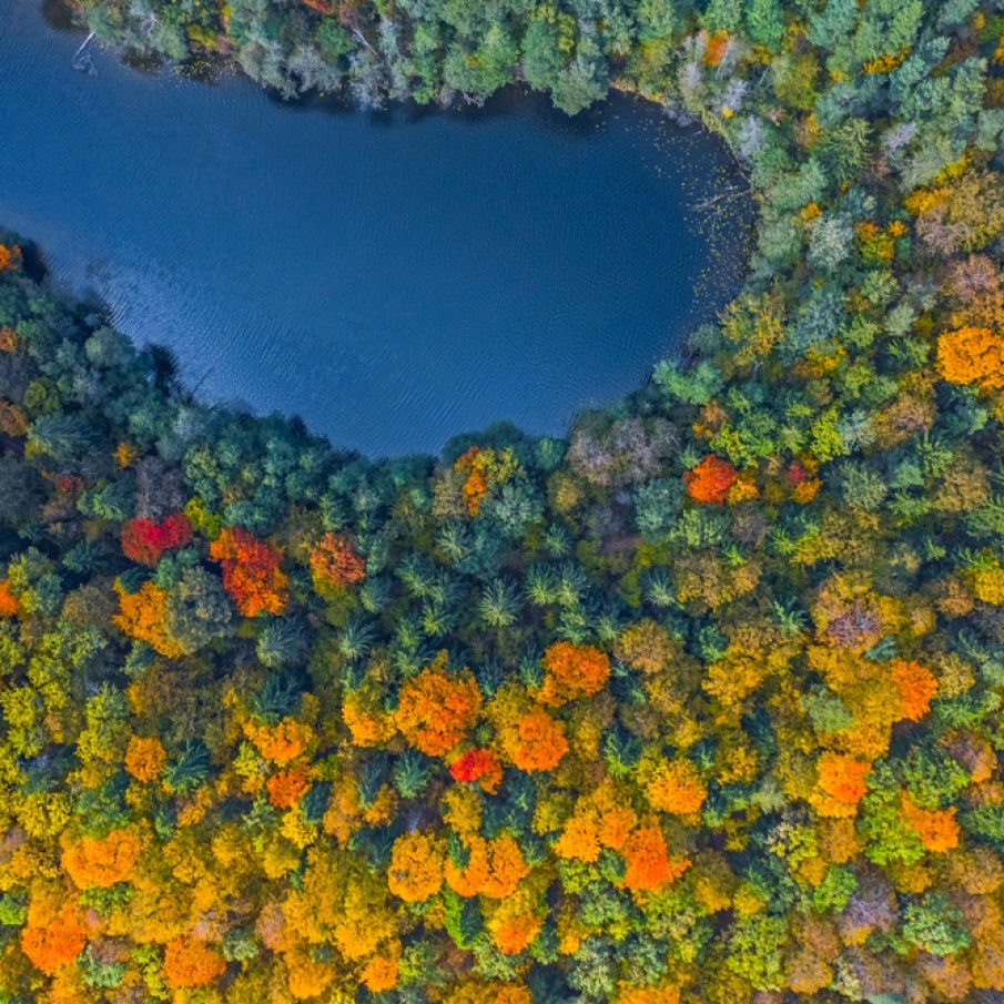 Ochi albastri care privesc toamna 