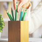 Ce beneficii aduc florile la locul de munca