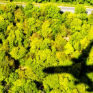 Cum să îți reduci amprenta CO2 când zbori cu avionul