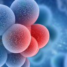 Medic: este important ca un cancer să fie evaluat de o comisie oncologică!