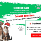 Crăciun cu IKIGAI - Ediția Blănițe Fericite. Campanie de responsabilitate socială dedicată susținerii ONG-urilor pentru animale