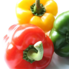 Ardei umpluti cu ton