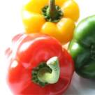 Ardei umpluti cu ton