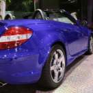 Pitiponcul in varianta stilizata