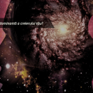 Test special: Care este funcția dominanta a creierului tău?