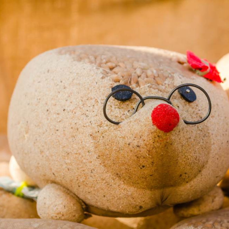 Un arici pogonici... 