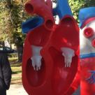 Bucurestenii isi pot evalua gratuit sanatatea inimii in Cismigiu