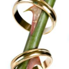 Casatorita, dar nu-l mai iubesc 