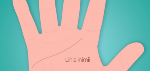 Gaseste Linia Inimii in palma ta dominanta. Cum ai descrie-o?