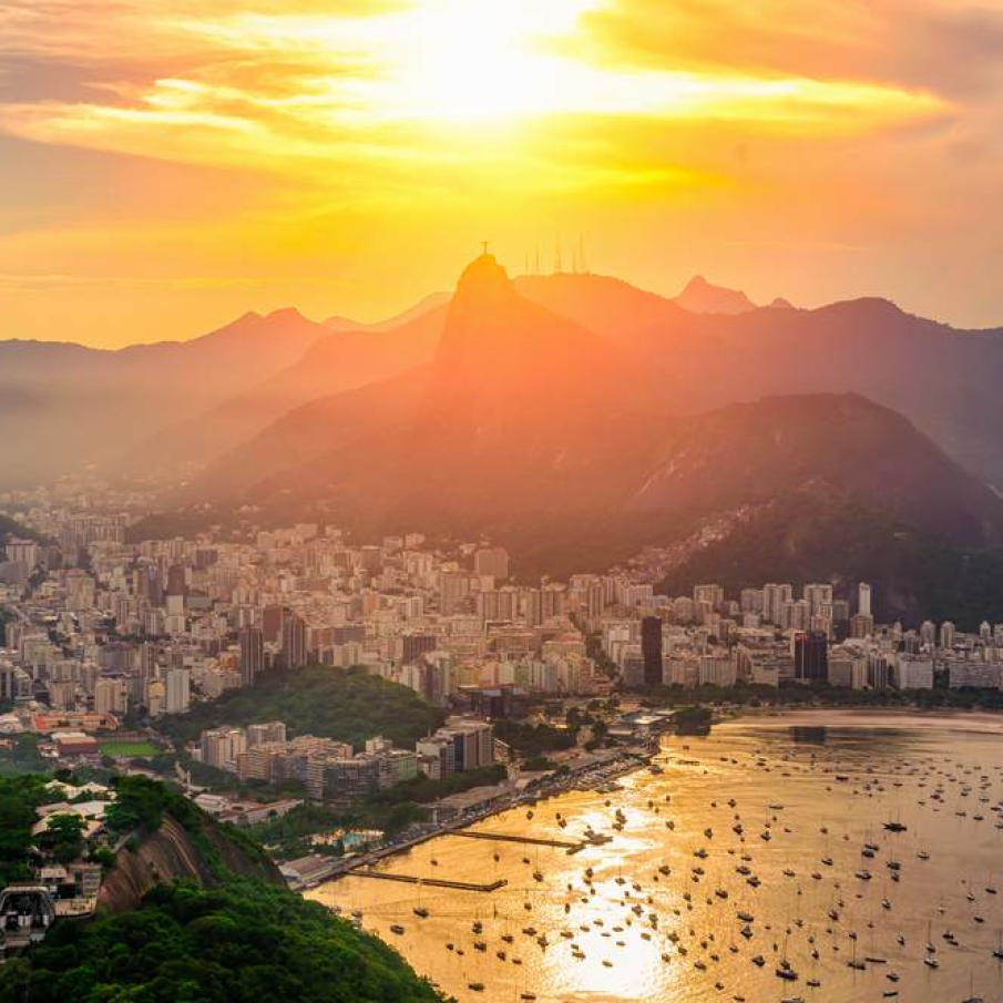 Apus in Rio de Janeiro, Brazilia 
