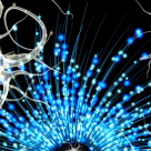 Neuronii-oglindă - cum să atragem prosperitatea în viețile noastre cu ajutorul acestora