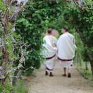 Exploratori, secrete și revelații - un mix complet de titluri pe BBC Earth