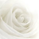 Cum se mentine Madonna tanara?