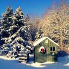 Simboluri ancestrale ale sarbatorii de Craciun