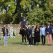Karpatia Horse Show 2026: călăreții români au dominat podiumul la 2*, iar Turcia a câștigat Cupa Balcanică pe echipe
