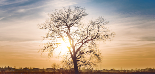 Cine a scris Asteptandu-l pe Godot?