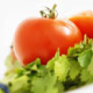 Vitaminele si gatitul