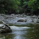  Succes al activistilor in 2017: Cum a fost salvat Raul Jiu de la distrugere