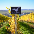 Crama Liliac se așteaptă la o creștere a cifrei de afaceri cu 17% față de anul trecut