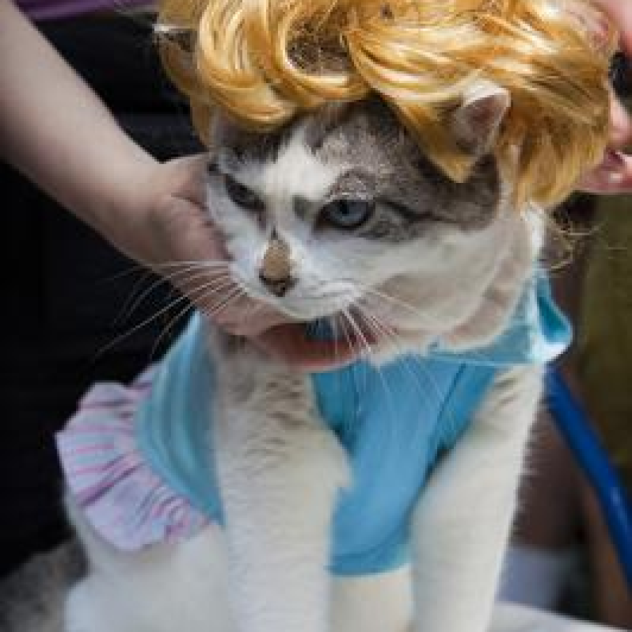 Peruca marilyn monroe  