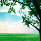 Interviu cu Dumnezeu