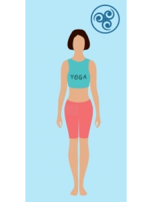 Corp slab si/ sau micut, cu incheieturi subtiri. 