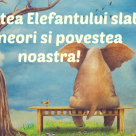 Povestea ELEFANȚILOR CAPTIVI e uneori și povestea noastră!