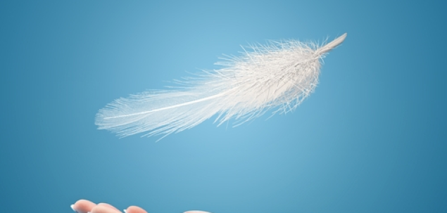 Alege stolul de pasari din care ti-ar placea sa faci parte! 